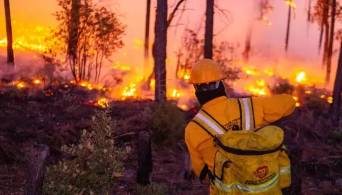 Diseño sin título (61)