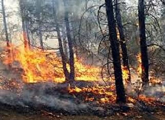 Se exhorta a evitar fogatas y quemas durante Semana Santa para prevenir incendios