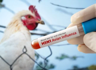 Sin registros de gripe aviar en la entidad