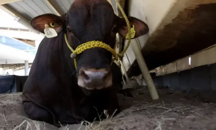 34VJP6E4NFECPM353ZA3YIOJHQ-780x470 (1)