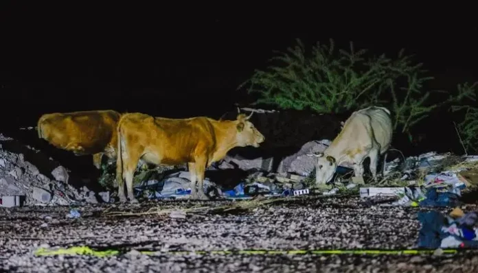 Diseño sin título - 2025-05-09T134053.167