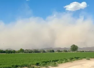 Emite alerta Protección Civil del Estado por tormenta de arena en Delicias