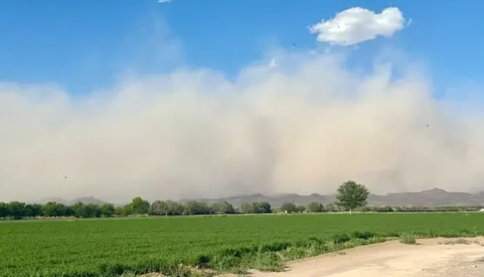 Diseño sin título - 2025-05-09T134536.463