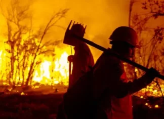 Intensifican esfuerzos 233 brigadistas para sofocar incendios en Guachochi