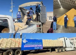 Entregan a productores 15 mil toneladas de maíz molido para enfrentar sequía