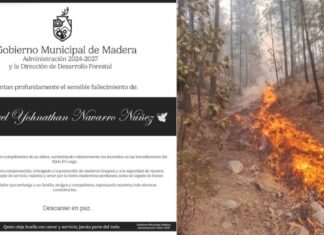 Falleció brigadista en combate contra incendio forestal en Casas Grandes