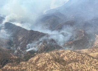 Persisten 5 incendios forestales en Chihuahua: Conafor