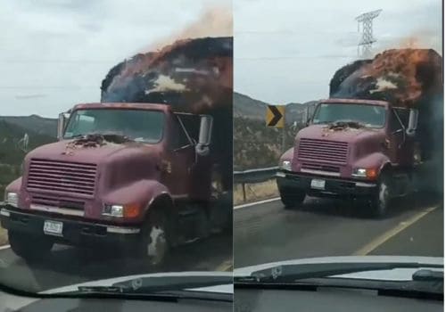 Diseño sin título - 2025-05-16T151945.167