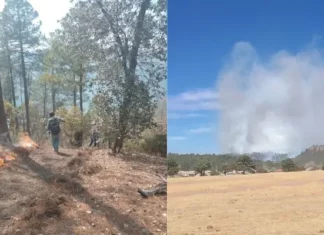 Despliegan a 396 combatientes para atender 21 incendios forestales