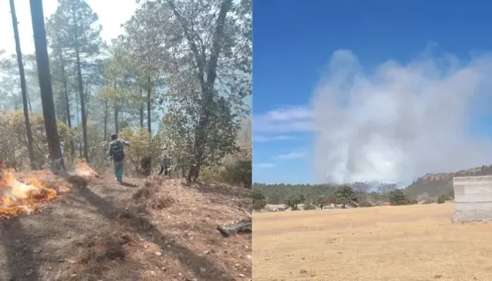 Diseño sin título - 2025-05-20T143229.457