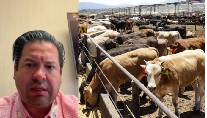 Diseño sin título - 2025-05-26T105448.211