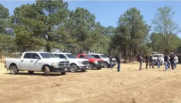 Diseño sin título - 2025-05-27T141819.596