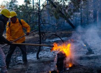 16 incendios forestales afectan 77 mil hectáreas de bosque en Chihuahua