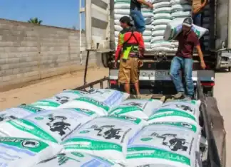 Distribuyen 55 toneladas de concentrado lechero en apoyo a productores