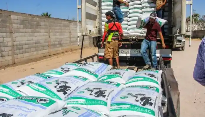 Diseño sin título - 2025-05-29T090843.567