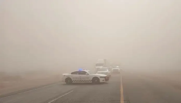 Diseño sin título (84)