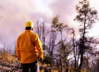 Continúan activos 16 incendios forestales en Chihuahua