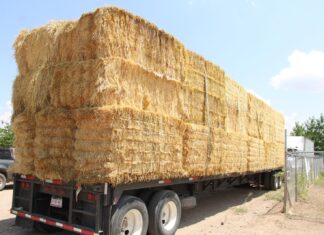 Dona Estado 150 mil pacas de rastrojo a productores por sequías