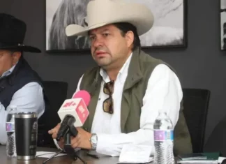 Afecta plaga la seguridad nacional y salud pública del país: Álvaro Bustillos