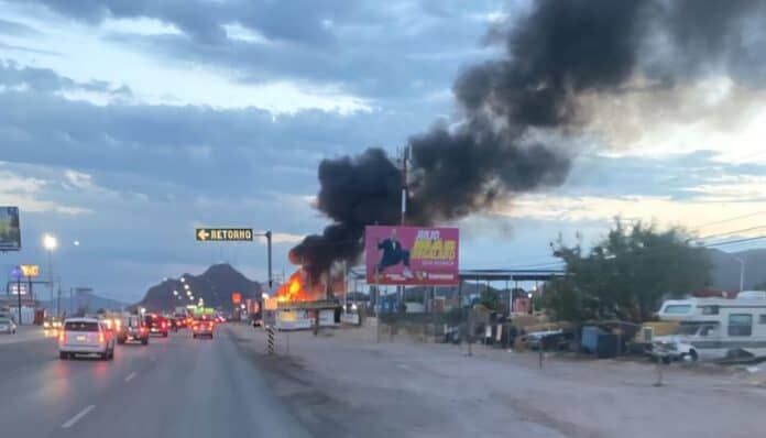 Diseño sin título - 2025-06-02T110241.542