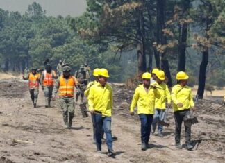 Chihuahua sin incendios forestales hoy
