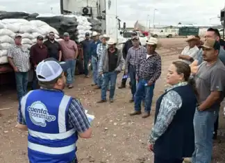 Capacitan a productores en prevención para evitar entrada del gusano barrenador en Chihuahua
