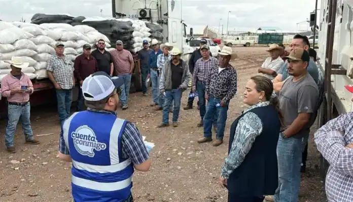 Diseño sin título - 2025-06-04T093900.310