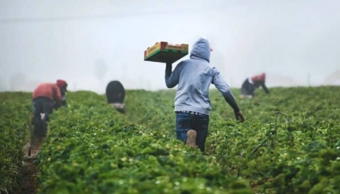 Diseño sin título - 2025-06-06T085326.688