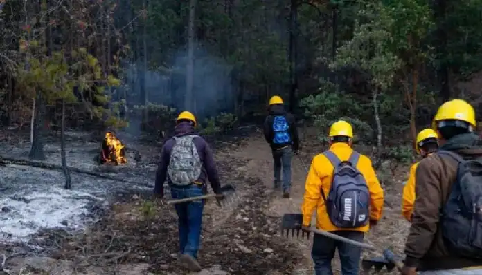 Diseño sin título - 2025-06-12T141956.356