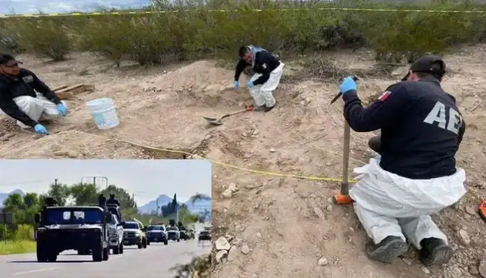 Diseño sin título - 2025-06-23T100113.736