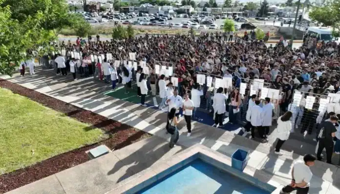 Diseño sin título - 2025-06-23T100616.420