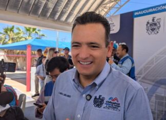 Retiran 40 animales mostrencos de calles de Chihuahua en lo que va del año