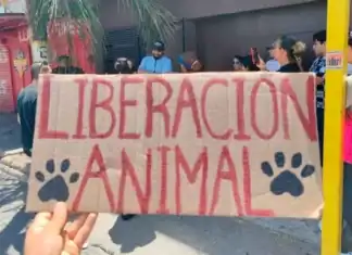 Denuncian extracción ilegal de perros en vivienda de la colonia Cuarteles