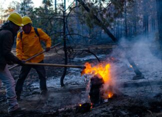 Liquidan combatientes incendio forestal en Guadalupe y Calvo