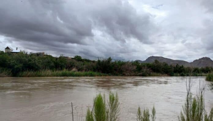 Diseño sin título - 2025-07-02T103653.501