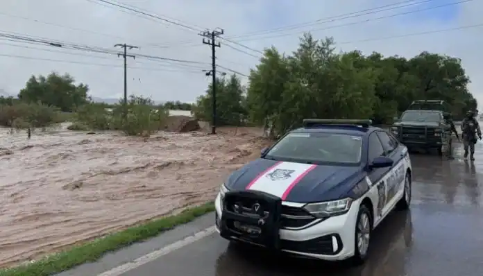 Diseño sin título - 2025-07-03T124630.059