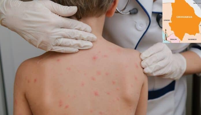 Diseño sin título - 2025-07-24T094141.556