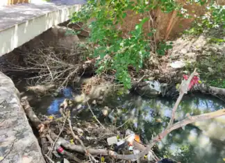 Llaman a fomentar la conciencia ciudadana para evitar tirar basura en terrenos y arroyos