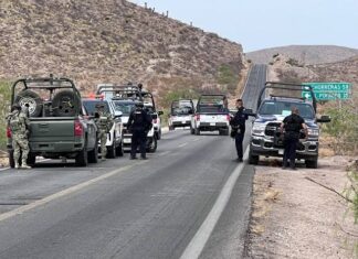 Aseguran a tres hombres armados en Coyame