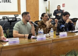 Advierte IEE que desaparecer organismos locales tendría consecuencias graves