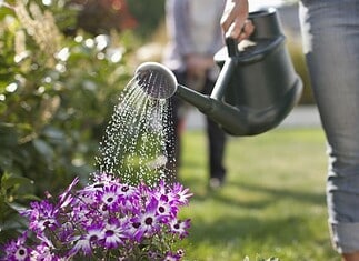 Lluvias recientes fortalecen acuíferos y estabilizan suministro de agua en Chihuahua