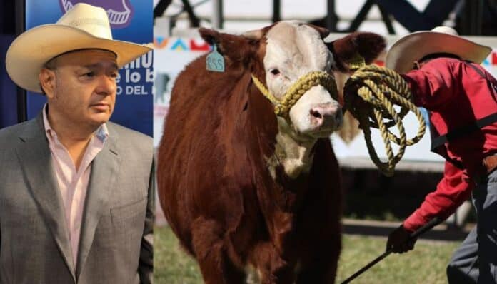 documento - 2025-09-24T101746.366