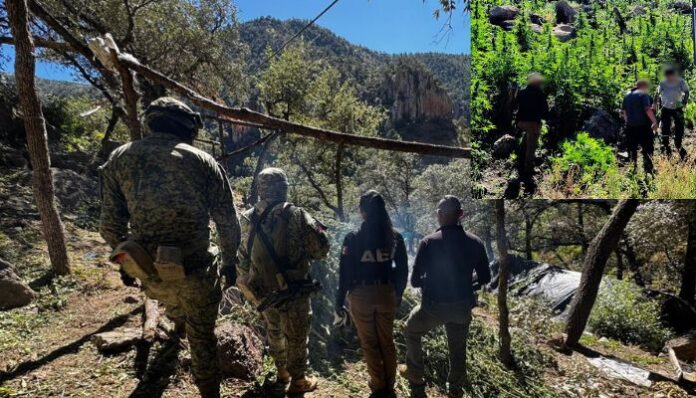 documento - 2025-10-21T090336.129