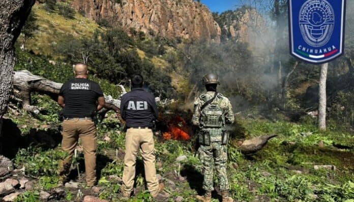 documento - 2025-10-22T095134.640