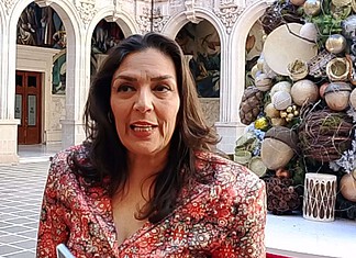 IEE llama a presentar denuncias formales por posibles actos anticipados de campaña