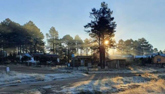 documento - 2025-12-02T104302.649