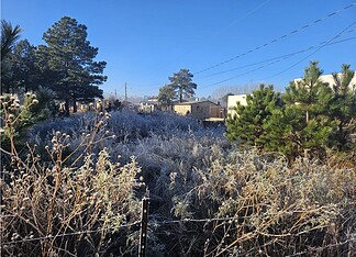 Heladas de hasta -9 °C se registran en gran parte del estado de Chihuahua