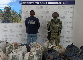 Aseguran 200 kilos de marihuana en los límites de Urique y Bocoyna