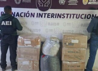 Aseguran 92 kilos de marihuana en operativo en las Curvas del Perico