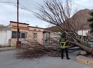 Por fuertes vientos, emite Municipio recomendaciones de seguridad